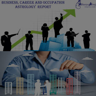 Business and Occupation